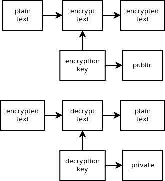 rsa encryption algorithm python